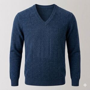 NWT Cashmere Tech V-Neck Sweater Windowpane Blue Men's L XL ERDOS Grandpa Preppy